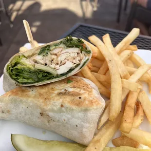 Chicken Caesar Wrap