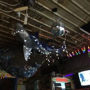 Come in for a shark attack.