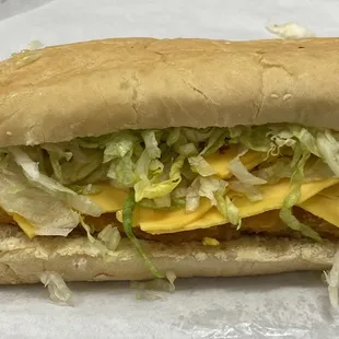 Fish Sub