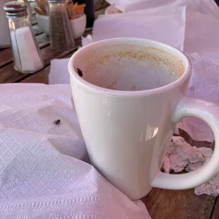 We have to cover our food while we&apos;re eating!