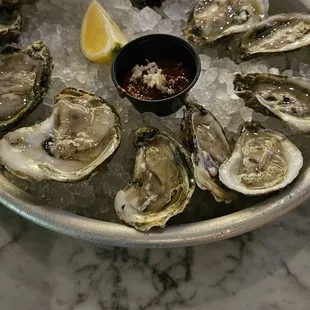 Dozen Oyster