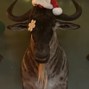 One of the many taxidermied goats