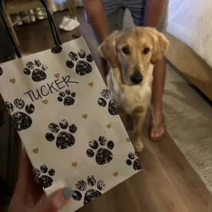 Goodie bags for the furry guests. Very pet friendly!
