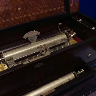 Can you see the bumps?