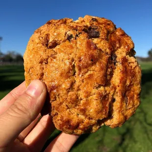 a hand holding a cookie