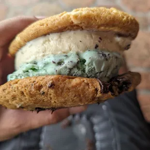 The best ice cream sandwich ever