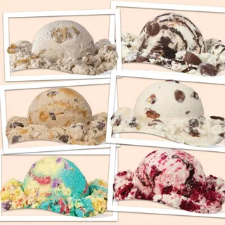 Moose Tracks