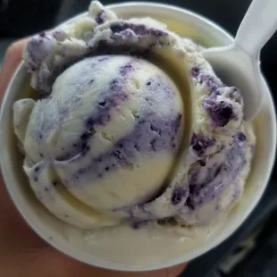 blueberry