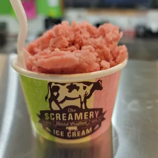 Strawberry Banana Sorbet