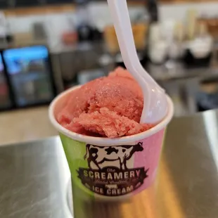 Strawberry Sorbet