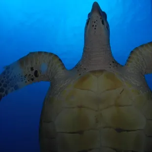 Beautiful and Peaceful