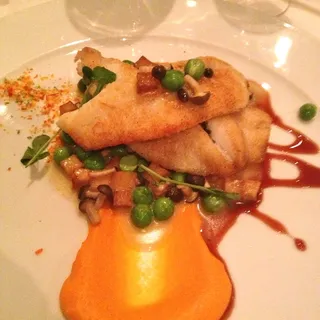 John Dory (Wild New Zealand)