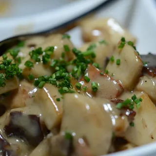 Wild Mushrooms