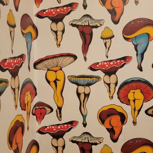 a variety of mushrooms