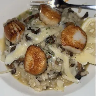 Scallops and mushroom risotto