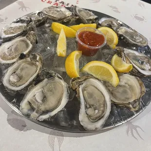 Oysters