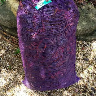 About to throw down on some live crawfish from the Seafood Pot.