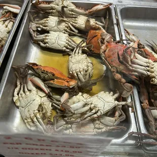 Fresh crabs!