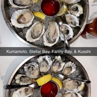 Fresh Oysters: Kumamoto, Steller Bay, Fanny Bay, Kusshi $6 each