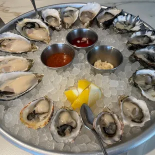 Fresh Oysters!