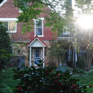 The view in the morning.