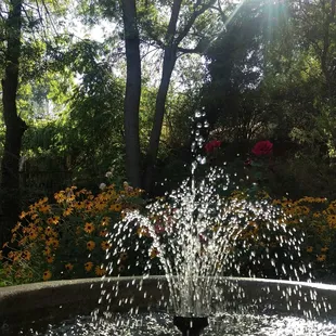 ... And friendly atmosphere