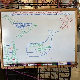 a whiteboard with a drawing of a whale