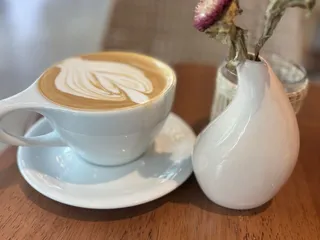 Flora