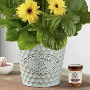 Reference picture: The arrangement that should have been delivered