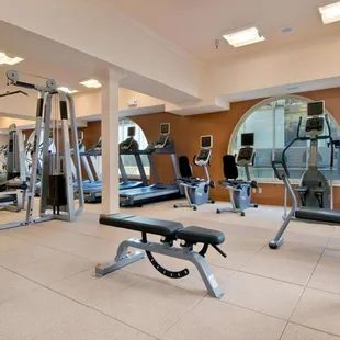 Health club  fitness center  gym