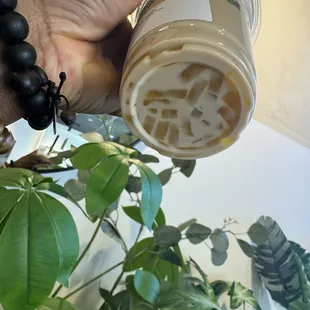 Milk tea with mango jelly