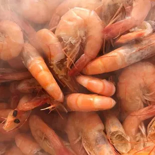 Fresh louisiana shrimp