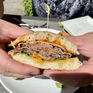 Tri Tip Sandwich