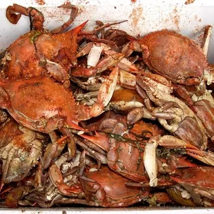 Steamed Crabs