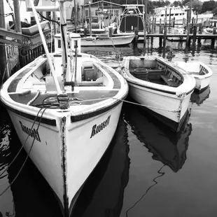 Fishing boat "Russell" at the Shellfish Co"