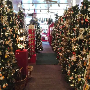 From snowmen to ninja turtles, you can find just about any ornament at The Shop!