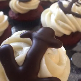 chocolate cupcakes with white frosting