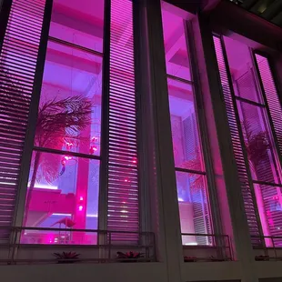 Pink lighting