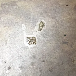 Not even sure what this is!
