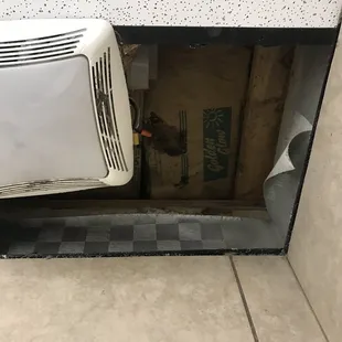 Mold from ceiling