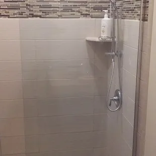 Frameless Shower Enclosure 5+++/5