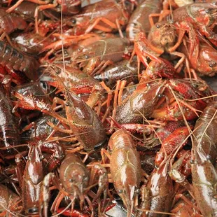 The Shrimpman