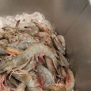 More shrimp