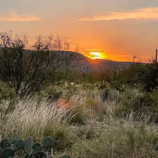 Nice view while waiting for dinner.