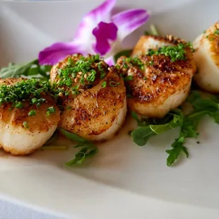Fresh sea scallops (entree)