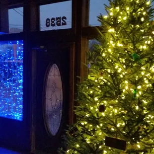 a lighted christmas tree