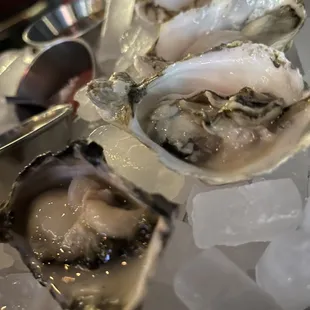 Raw Oyster