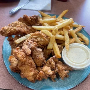 Chicken strips &amp; fries