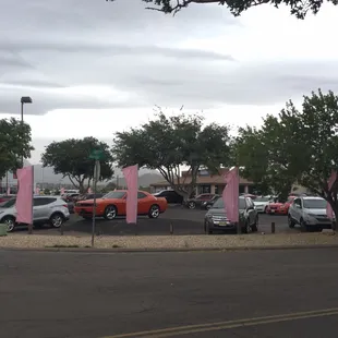Sisbarro Mitsubishi is Tough Enough To Wear Pink!