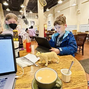 a young boy sitting at a table with a laptop and a cup of coffee